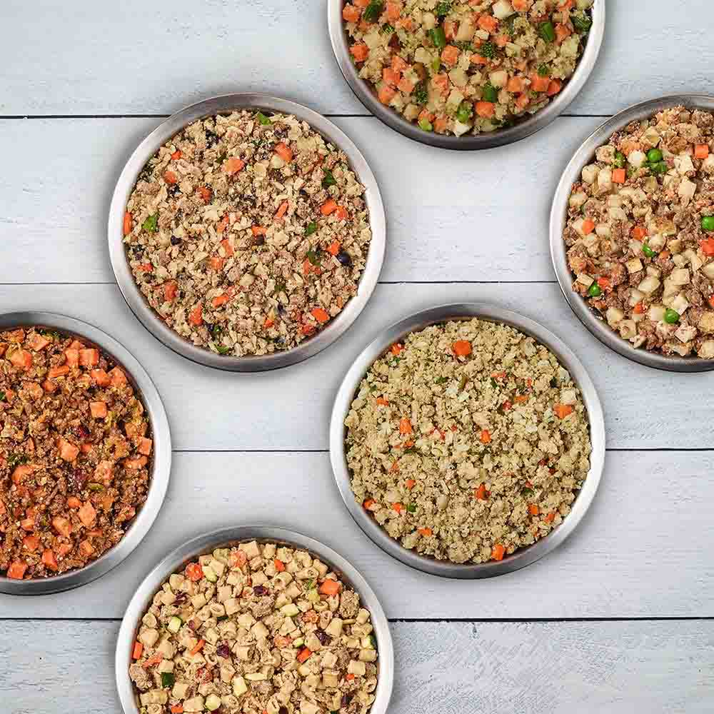 The Benefits of Preservative-Free Dog Food 