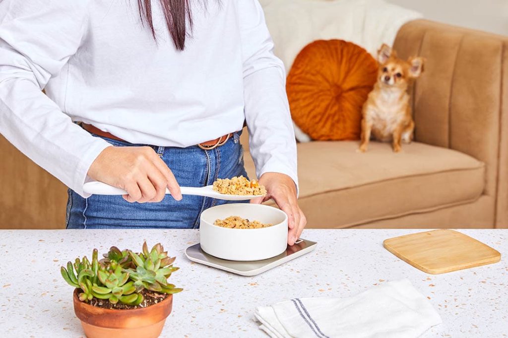 human scooping out dog food