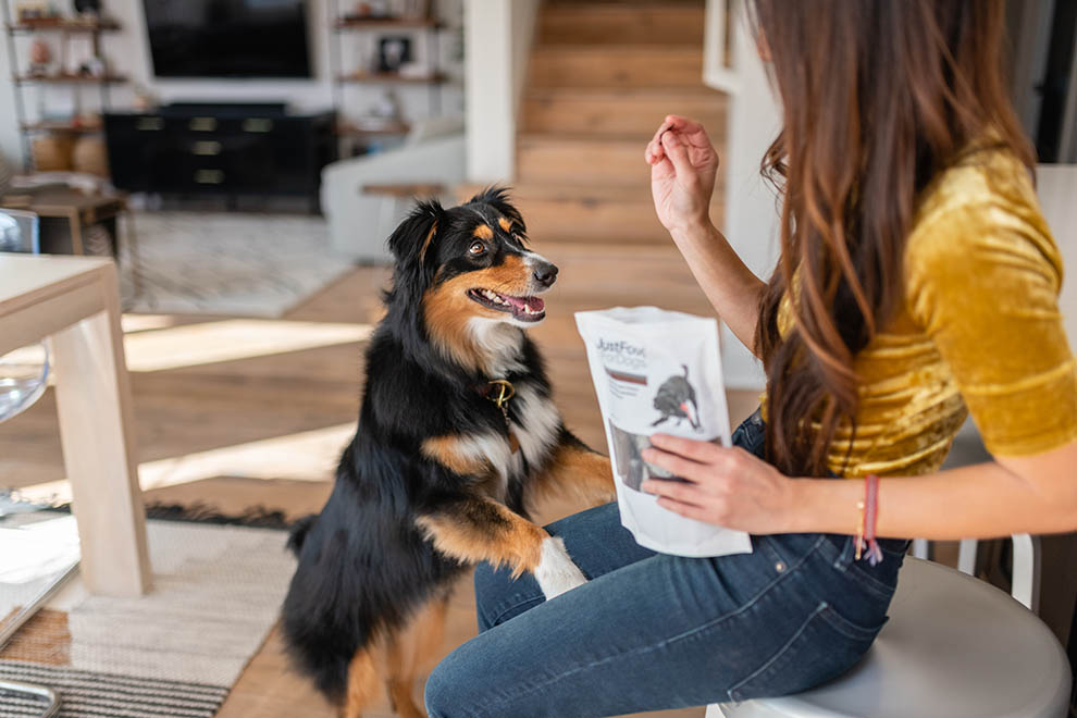 puppy getting a dog treat