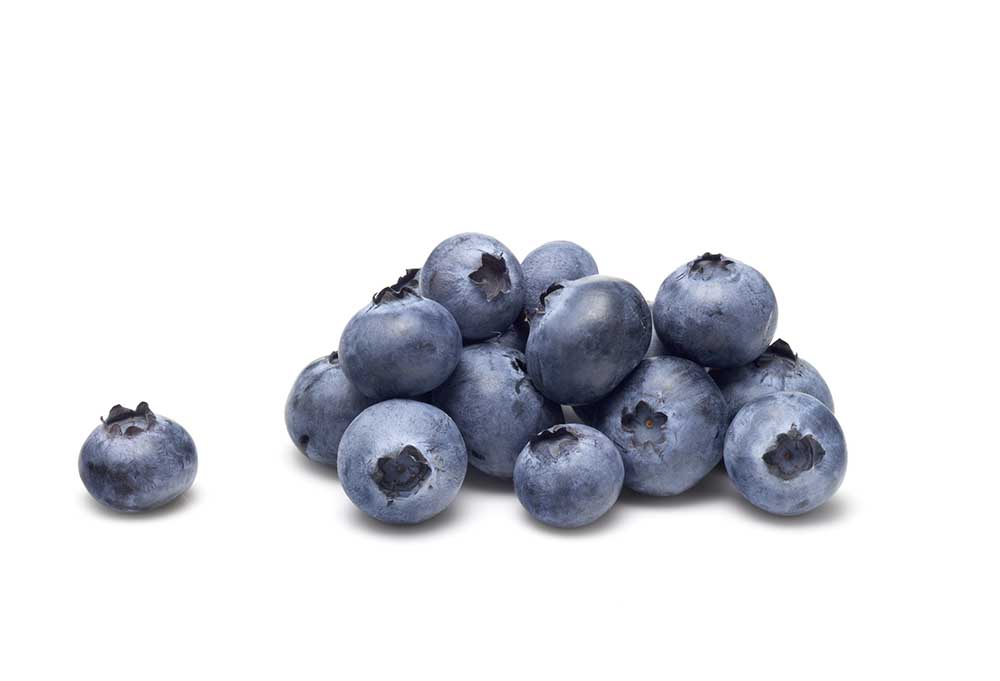 are blueberries good for dogs