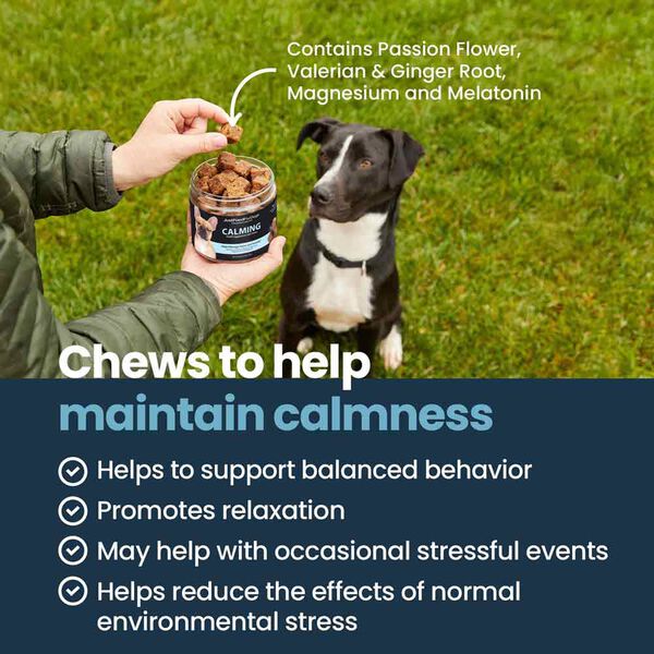 Calming (45 Chews)