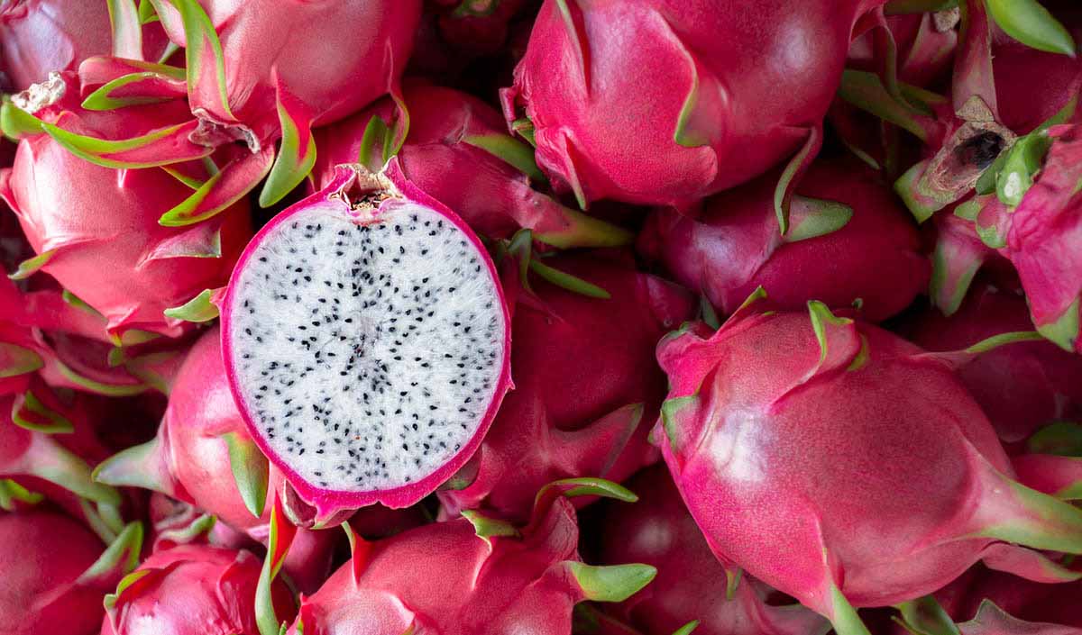 Can Dogs Eat Dragon Fruit?