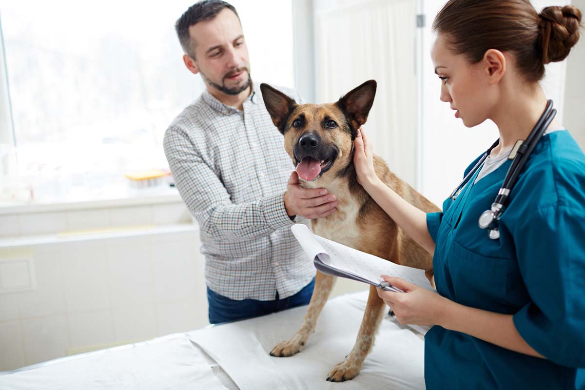 Preventative Care for Dogs