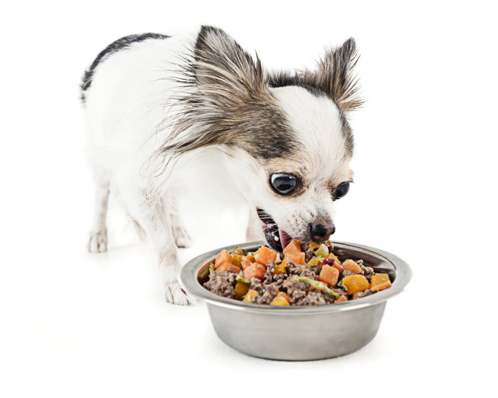 can adult dogs eat puppy food