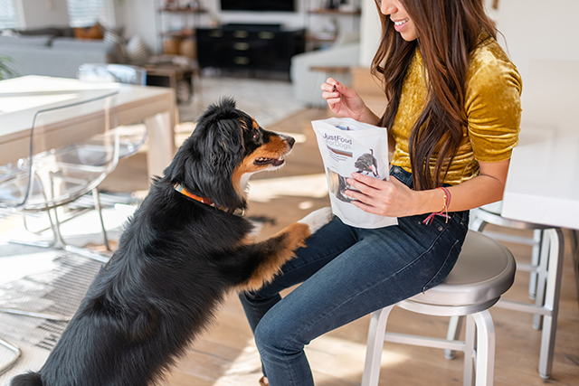 Dog Won’t Eat His Food, But Will Eat Treats? Here’s Why.