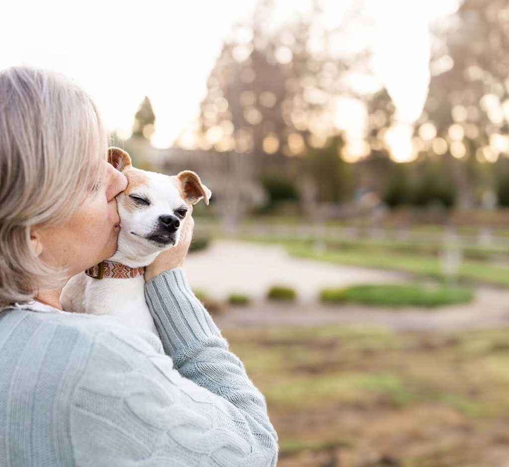 pet parent kissing dog