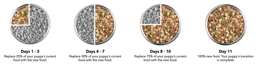 dog food transition chart