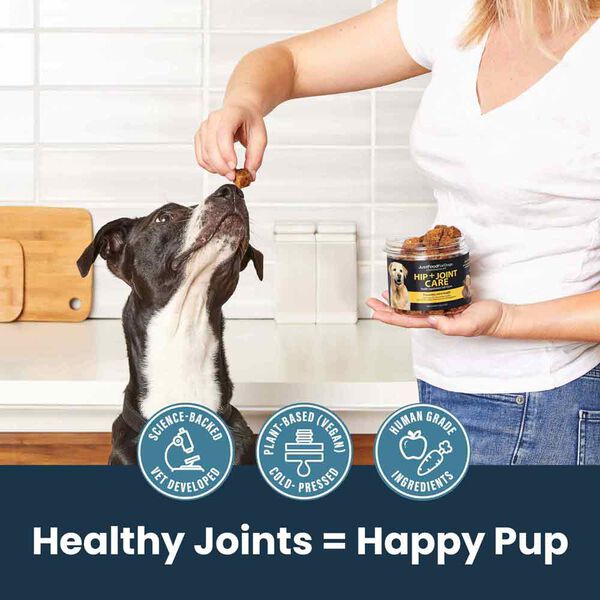 Hip + Joint Care (45 Chews)