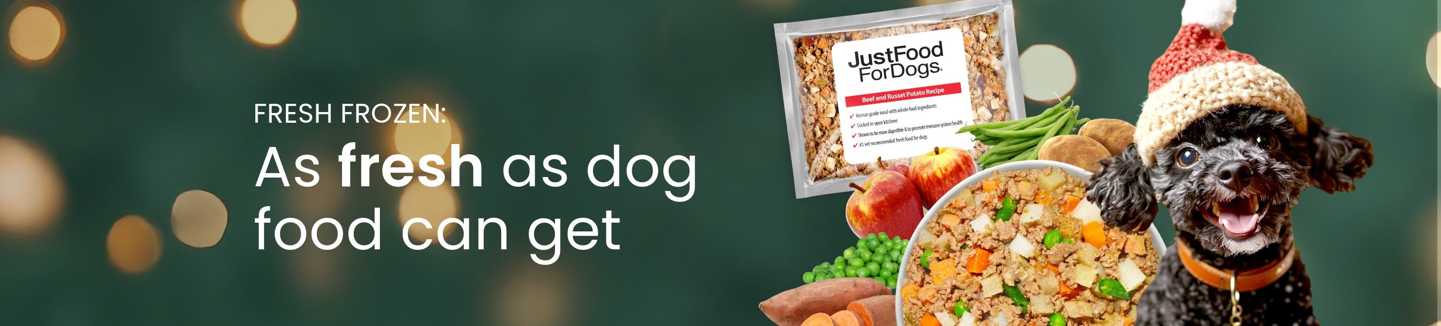 healthy meals for dogs banner tablet