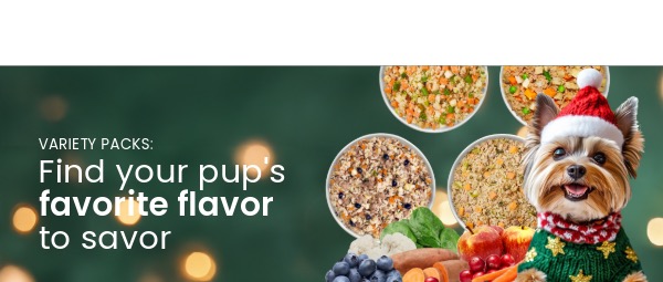 healthy meals for dogs banner tablet