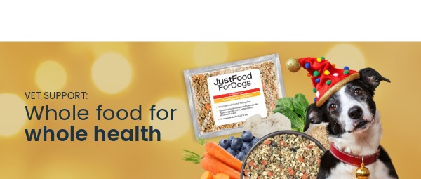 healthy meals for dogs banner tablet