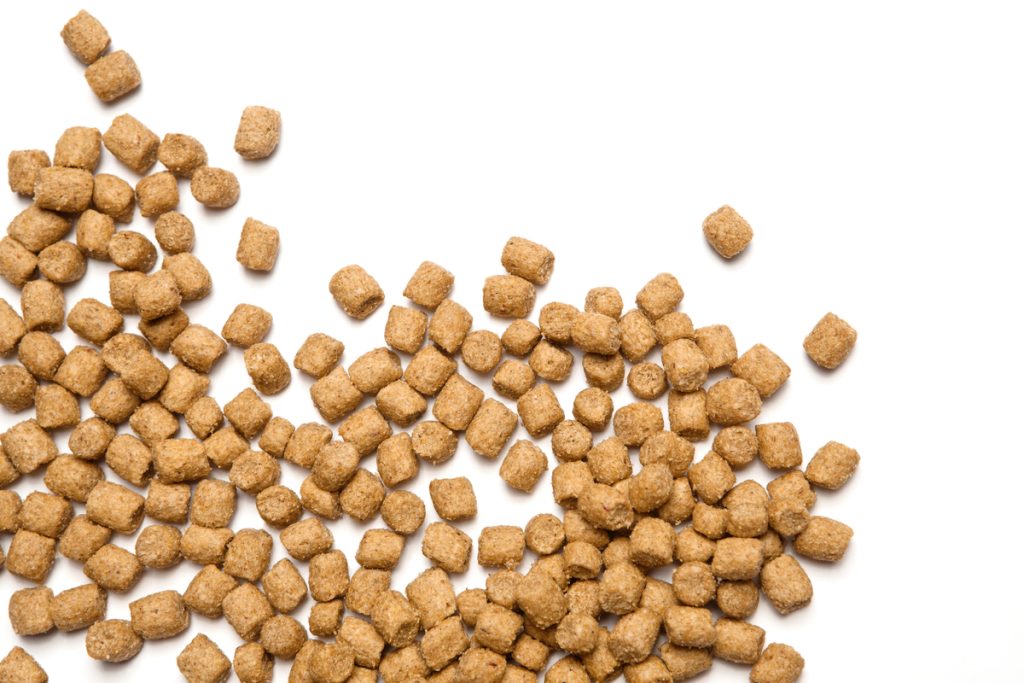 dry commercial kibble