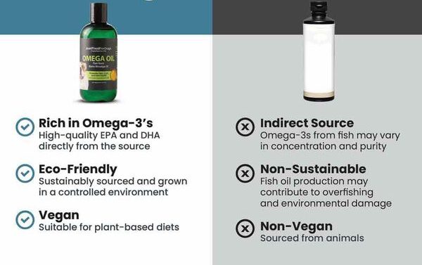 omega algae oil vs. fish oil chart