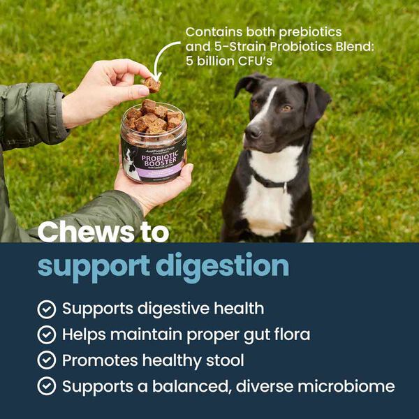 Probiotic Booster (45 Chews)