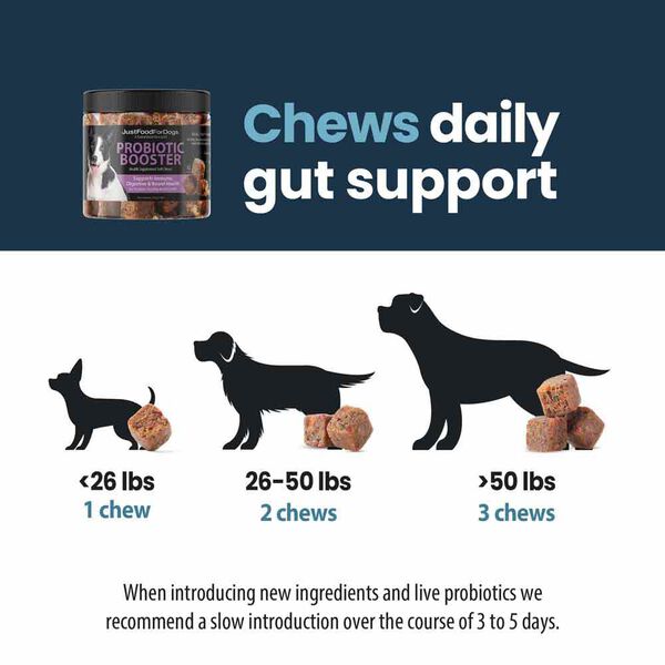 Probiotic Booster (45 Chews)