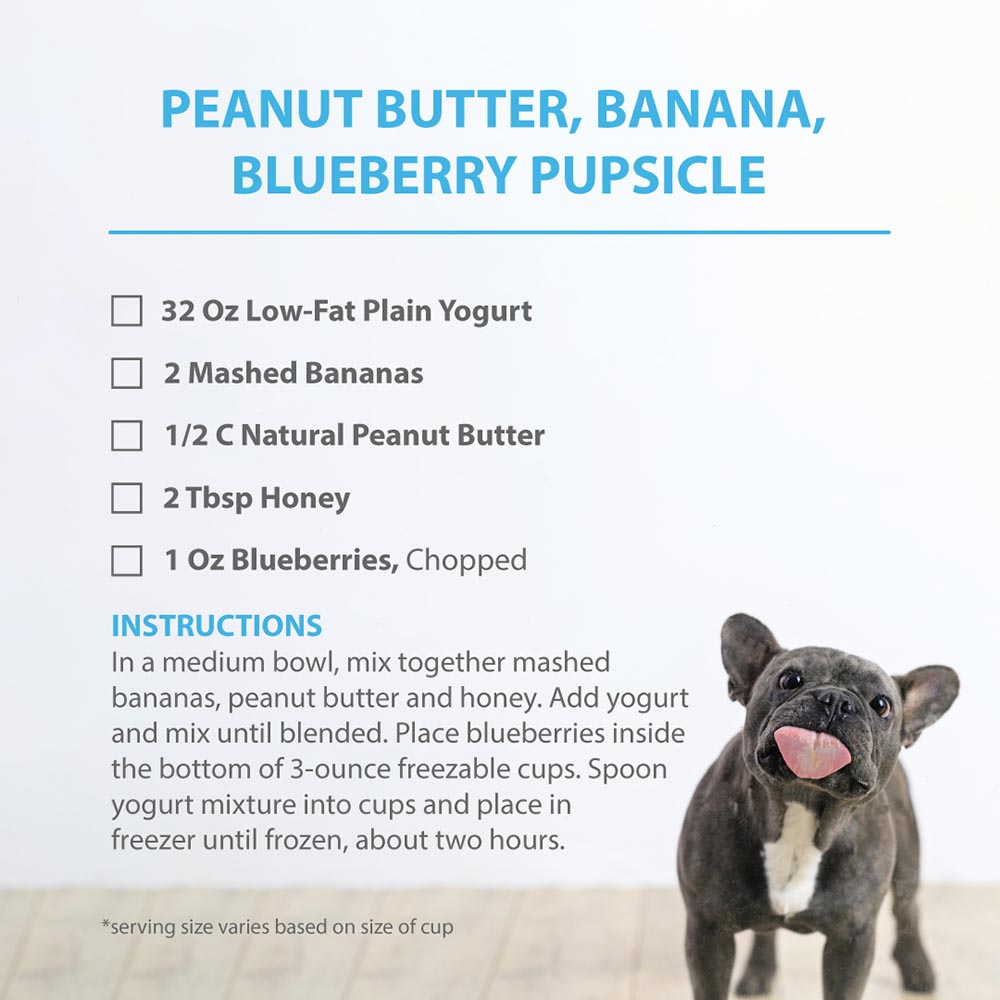 pupsicle recipe