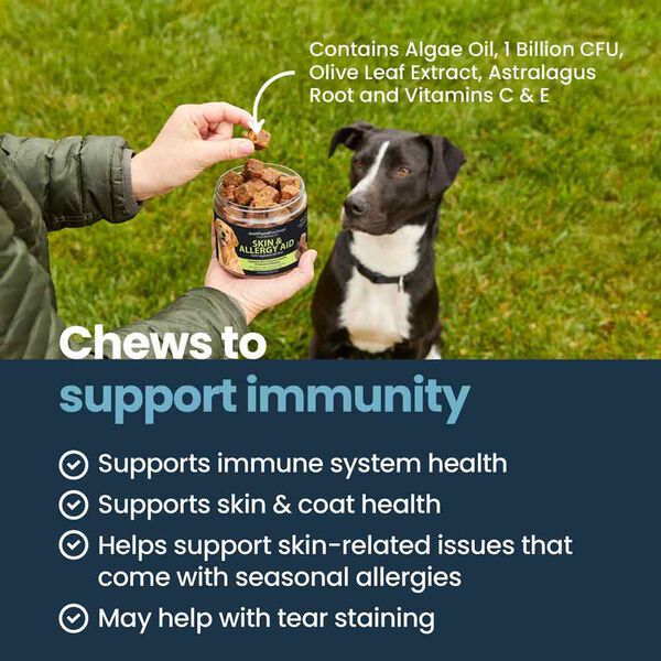 Skin & Allergy Aid (45 Chews)