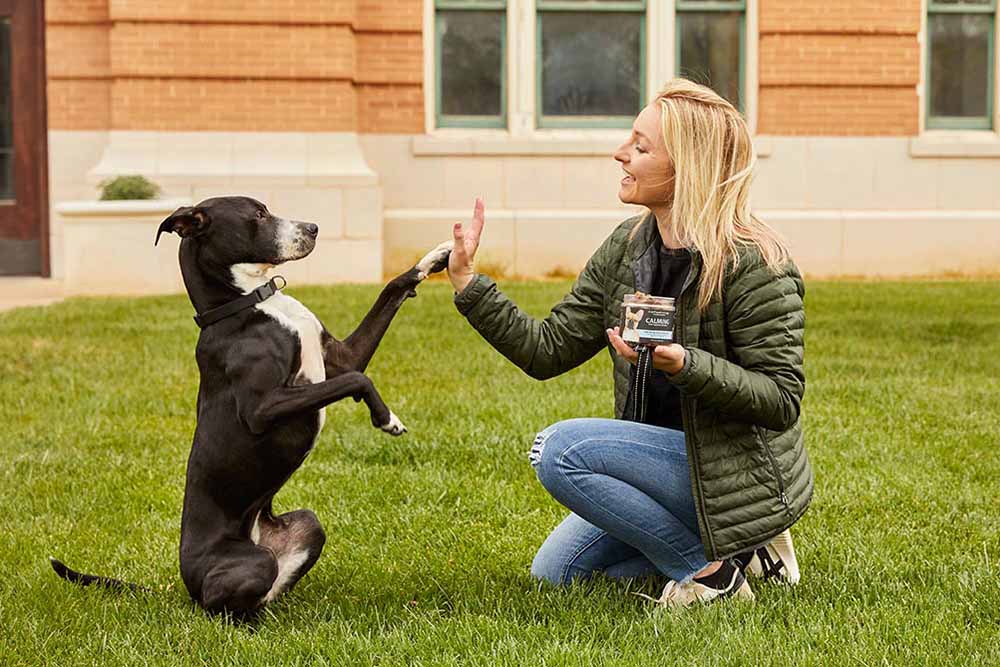 Dog Go Bags for Natural Disaster Preparedness