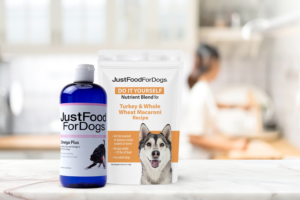 justfoodfordogs diy kit for turkey recipe