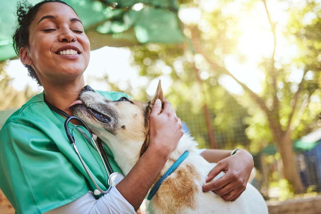 veterinarian hugging dog