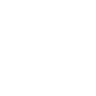 CleanBowl