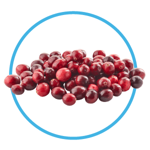 cranberries