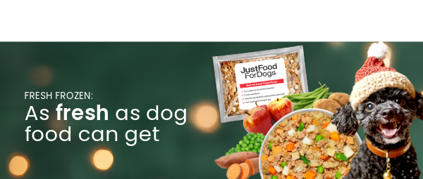 healthy meals for dogs banner tablet