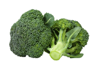 Broccoli