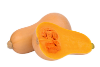 Butternut Squash