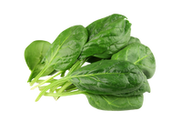 Spinach