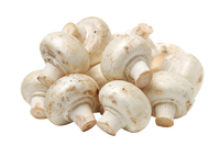 White Mushrooms